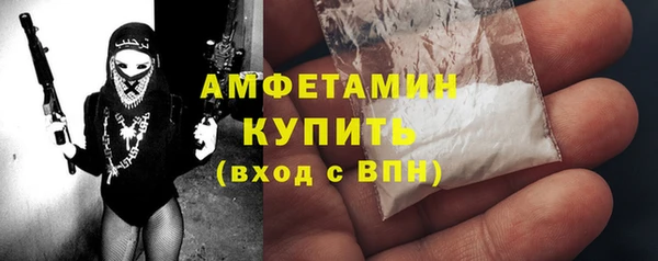 шишки Богородицк